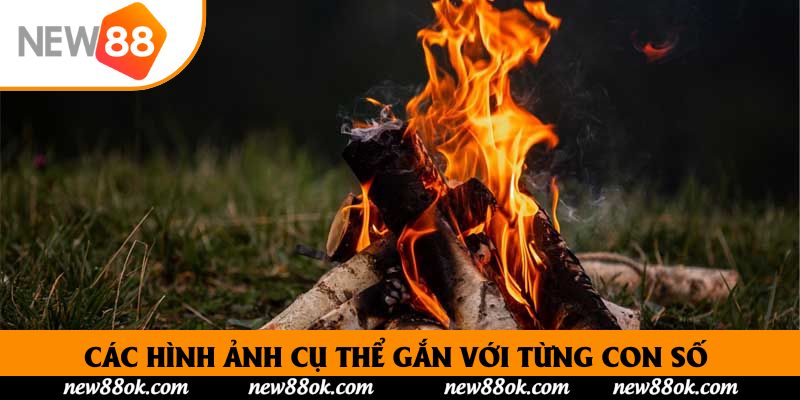 Các hình ảnh cụ thể gắn với từng con số để kiếm về tiền thưởng khủng
