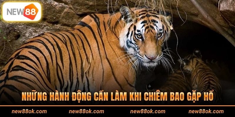 Những hành động cần làm khi chiêm bao gặp hổ