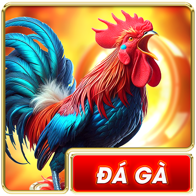 Đá gà new88